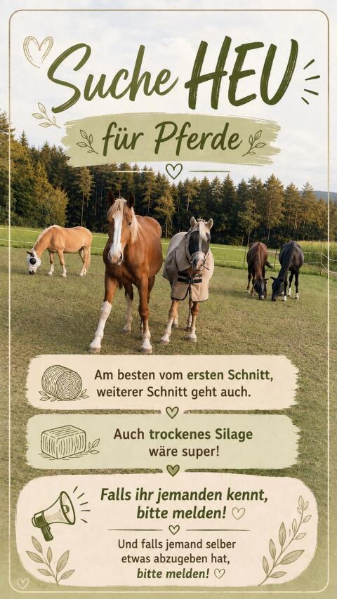 Suche Heu