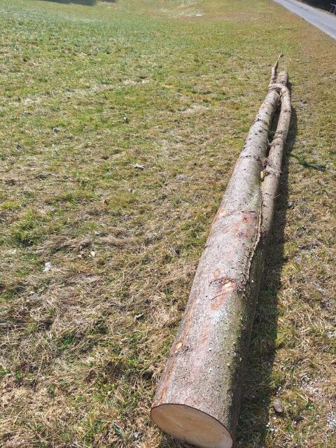 Wunder der Natur