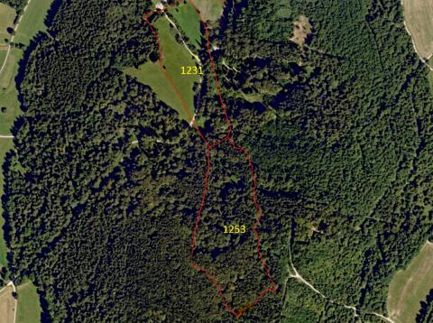 Privatverkauf: 8,2 ha Wald- und Wiesenflächen in Waakirchen