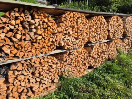Trockenes Brennholz, Kaminholz
