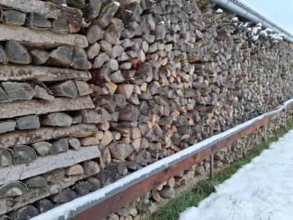 Brennholz