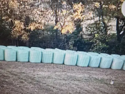 Suche Silageballen