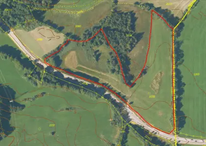 Privatverkauf: Agrarfläche in Waakirchen (FlNr. 2233)