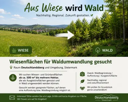 Wiesenflächen für Waldumwandlung gesucht