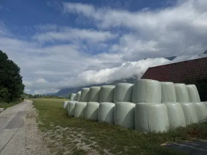 Silomaisballen