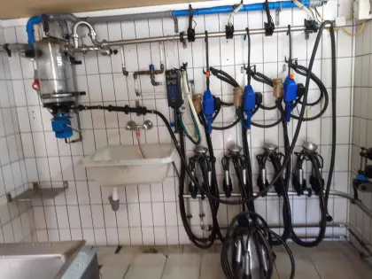 Rohrmelkanlage Alfa-Lawal inkl. Milchtank