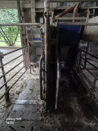 Kraftfutterstand DeLaval
