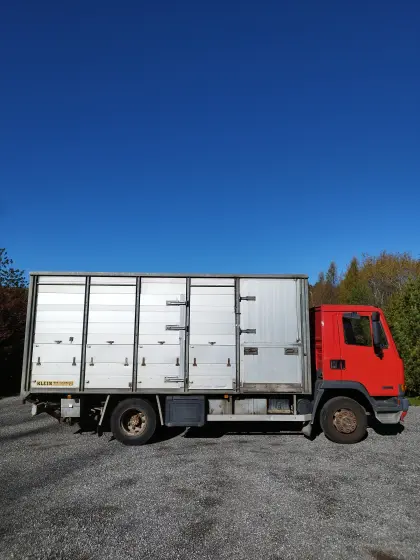 DAF FA 45 160B10 Viehtransporter