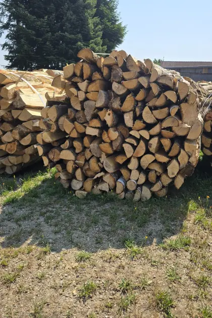 Brennholz