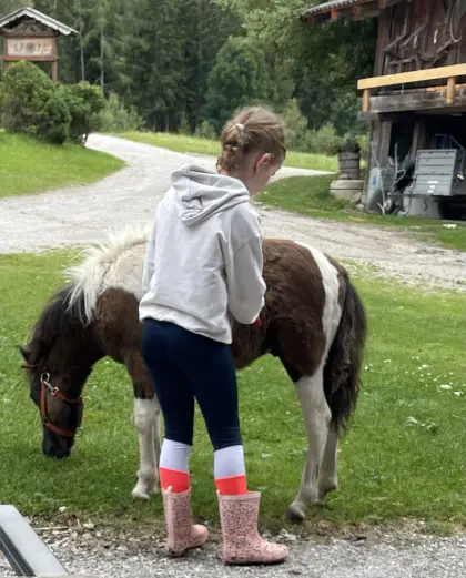 Kinderpony Fridolin Shetlandpony