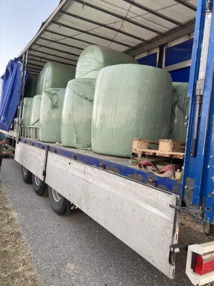 Maisballen zu verkaufen