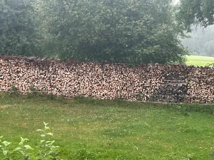 Buchenbrennholz zu verkaufen