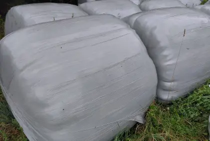 Gras-Silageballen