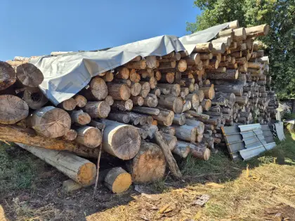 Brennholz