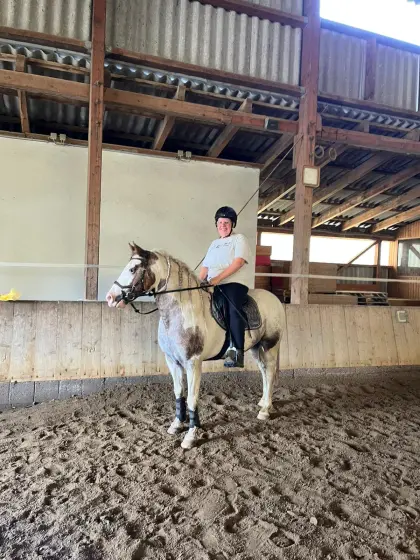 Liebevolles, bedingt reitbares Pony zu verkaufen