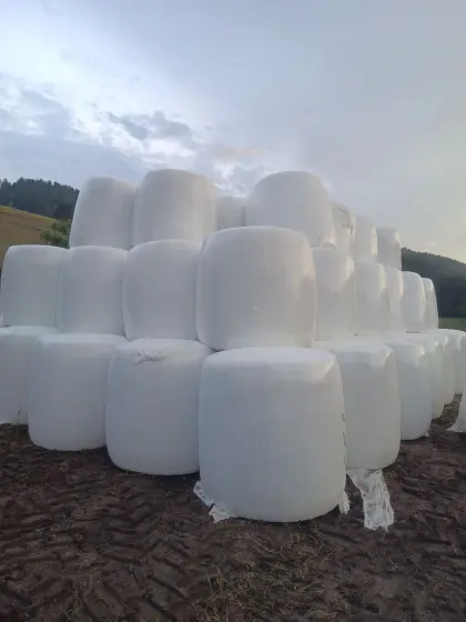 Maissilageballen, Ernte 2026