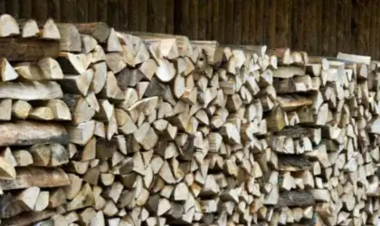 Brennholz