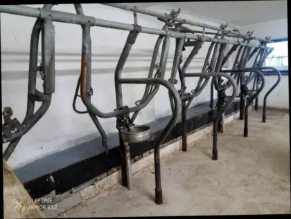 Aufstallung Fa. Braun