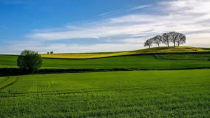 Suche Pachtflächen in Niederösterreich