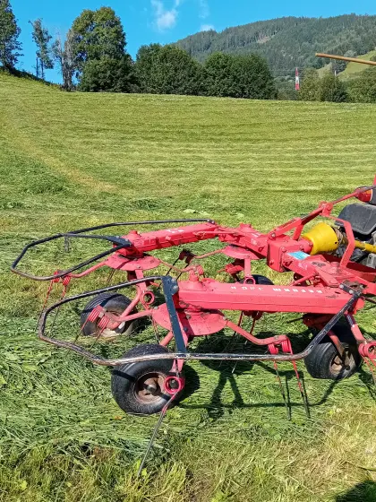 Kreiselrechen für kleine Traktoren, Marke Reform 360A
