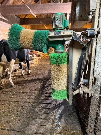 Schurr Kuhbürste rotierend (2 Bürsten)