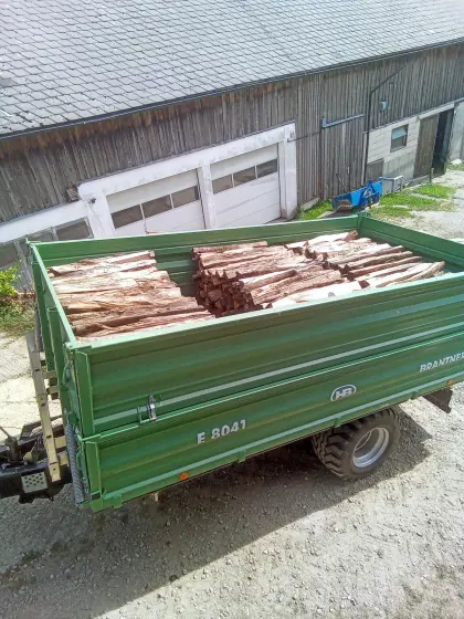 Brennholz Buche