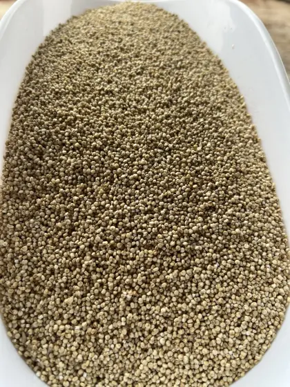 Quinoa