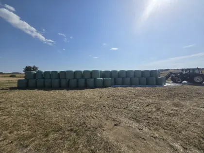 Mais-Ballensilage