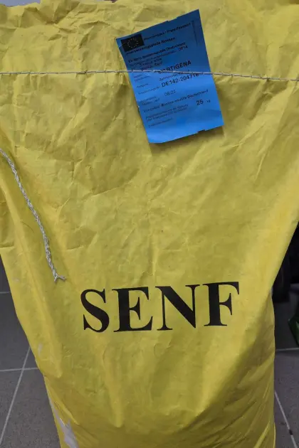 Senf-Saatgut