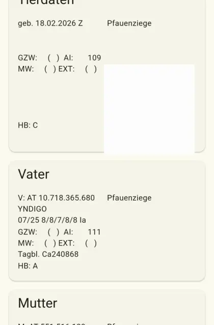 Pfauenziegenbock