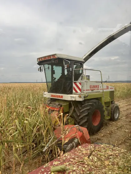 Claas Jaguar im Lohn