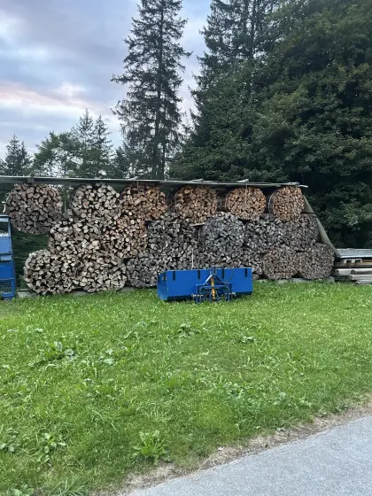 Brennholz