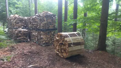 Brennholz