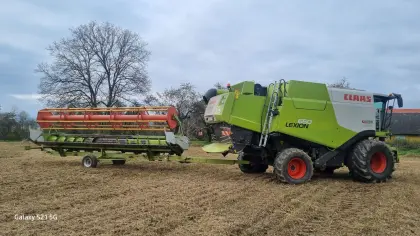 Sojaflextisch