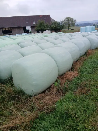 Grünschnittroggenballen