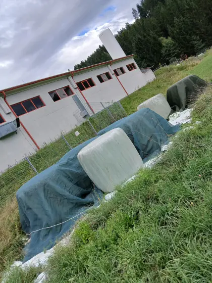 Heu-Silageballen von 2025