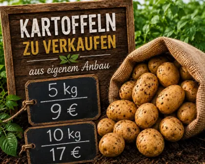 Kartoffel