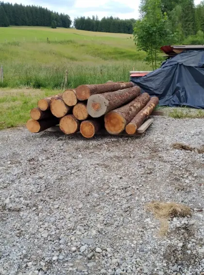 Suche Zirbenstämme, Zirbenholz, Baumstämme von Tiroler Zirbe