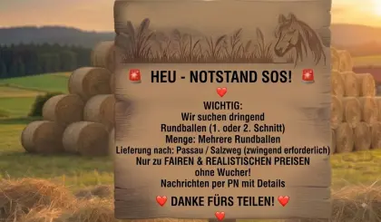 Heu-Rundballen