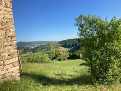 Wiese, Obstgarten mitten im Vulkanland zu verpachten