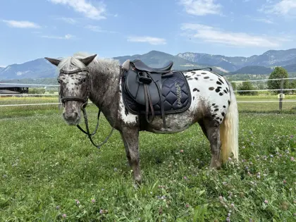 Ponyreiten