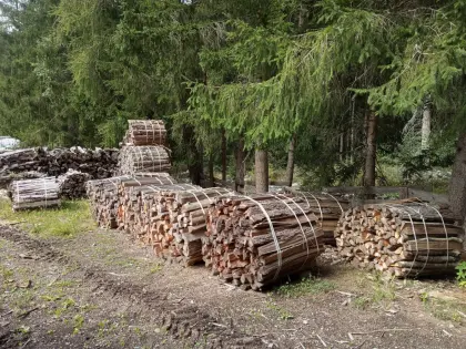 Brennholz zu verkaufen