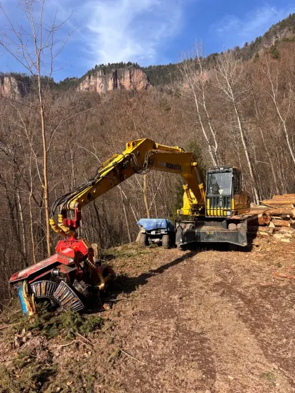 Bagger Komatsu PW200-7 mit Prozesso Woody WH6