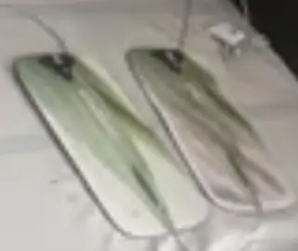 Wasserbettheizung