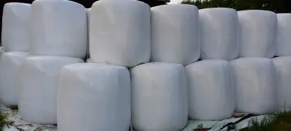 Maissilage-Rundballen