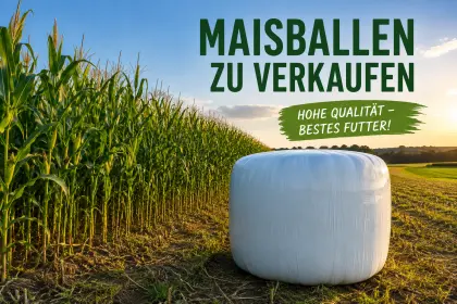Silomaisballen inkl. Zustellung
