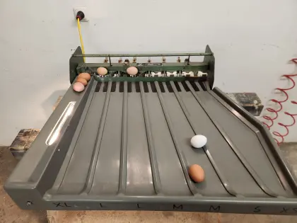 Eiersortiermaschine Benhil