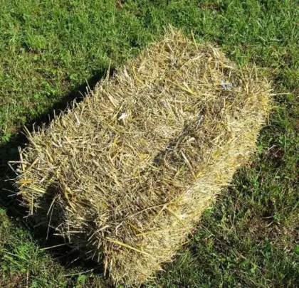 Heu in Kleinballen