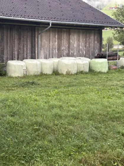 Siloballen