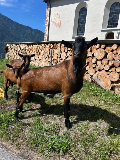 GGZ Mittelbock